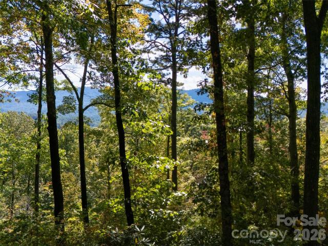 House for sale in Hidden Valley, Transylvania County