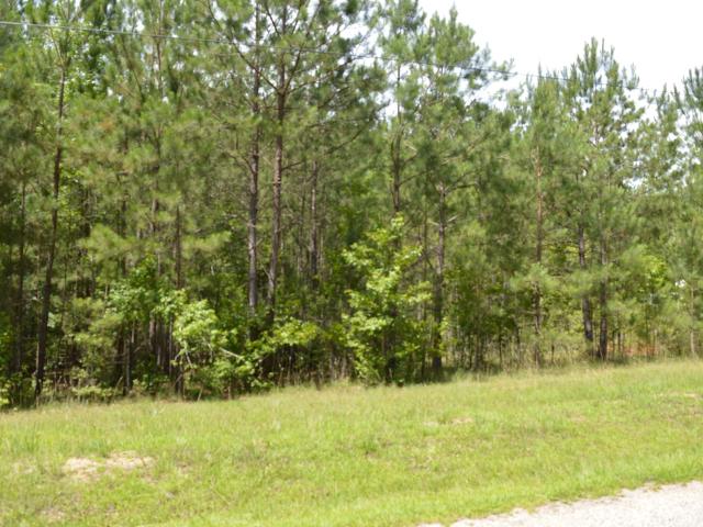 Land for sale in Ridgeway, South Carolina