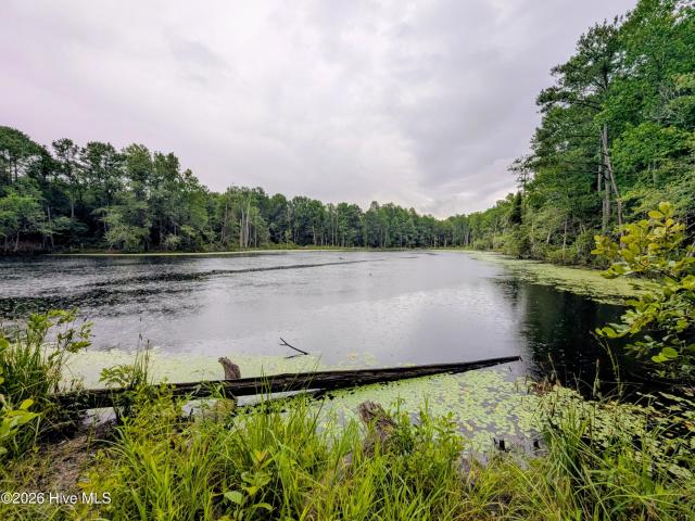 Land for sale in Norman, North Carolina