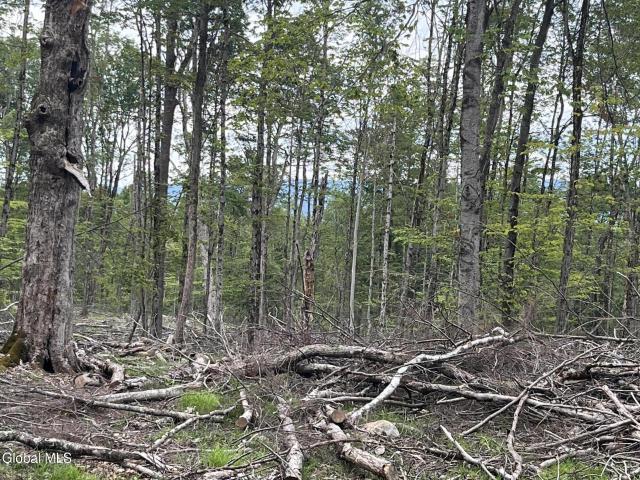 Land for sale in Grafton, New York