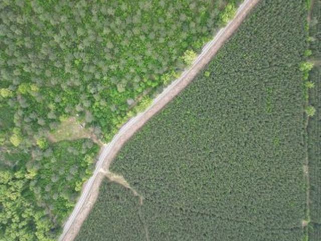 Land for sale in Ark