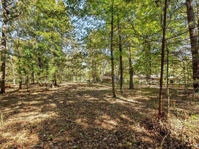 House for sale in Morgan County, Alabama