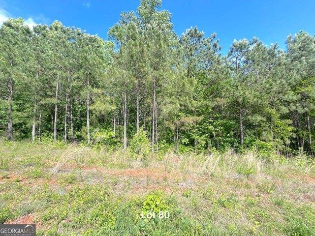Land for sale in Temple, Georgia