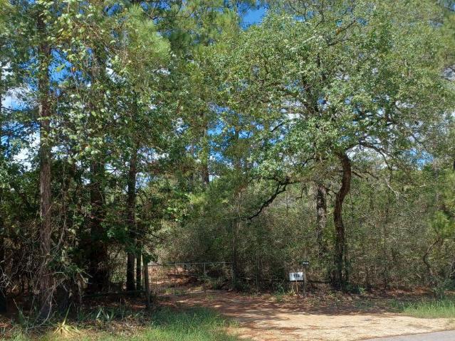 House for sale in Smithville, Texas