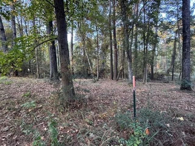 Land for sale in Sabine, Texas