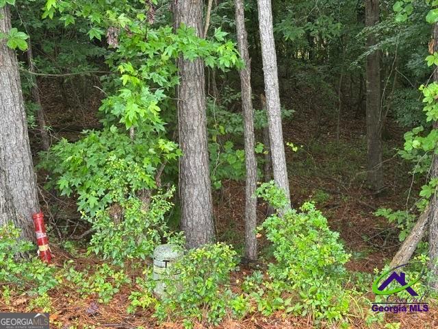 Land for sale in Macon, Georgia