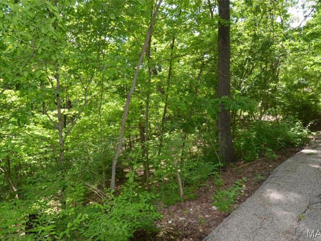 Land for sale in Glencoe, Missouri