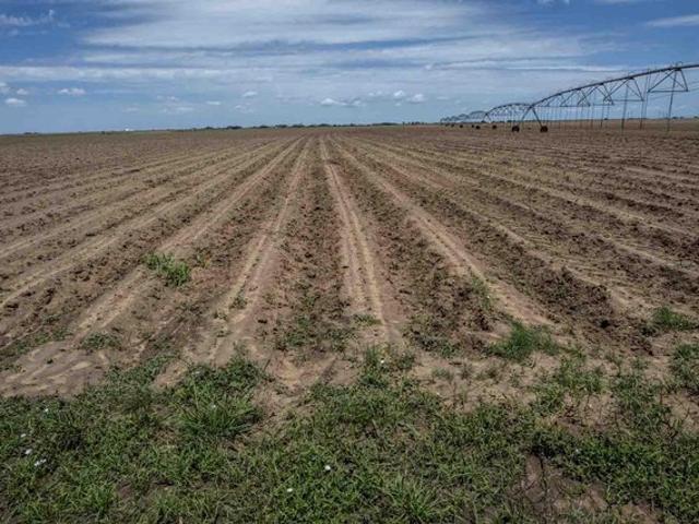Farm for sale in Lynn, Texas