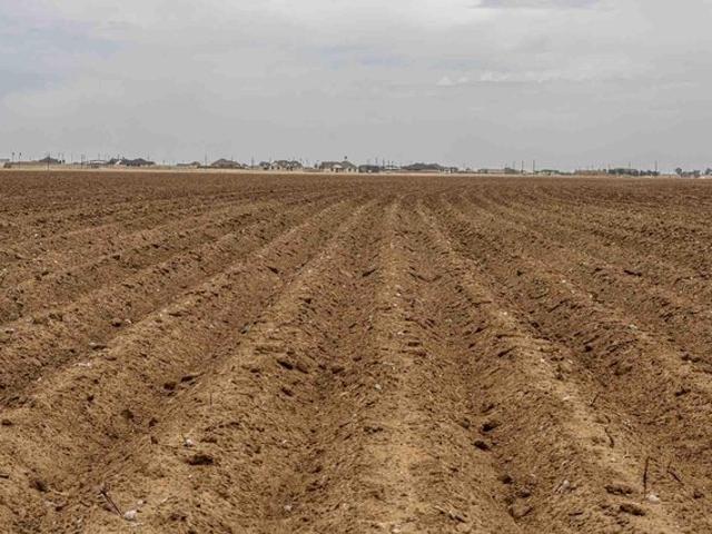 Farm for sale in Lynn, Texas