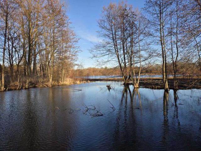 Land for sale in Mchenry, Illinois