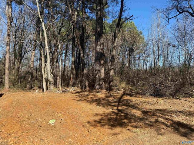 Land for sale in Athens, Alabama