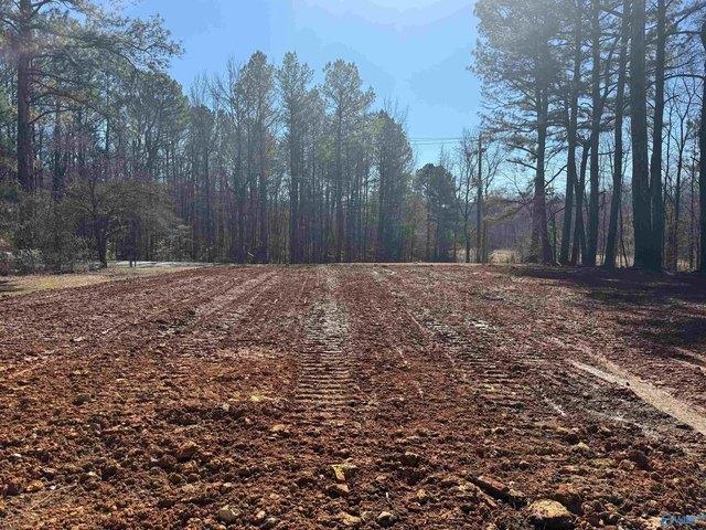 Land for sale in Athens, Alabama