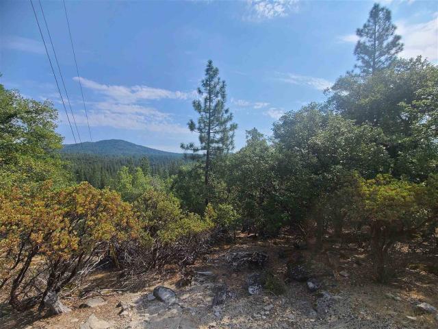 Land for sale in Sonora, California