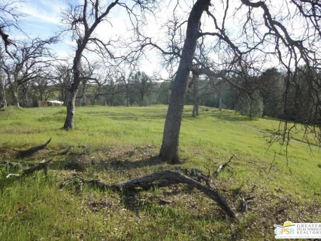 Land for sale in Corning, California