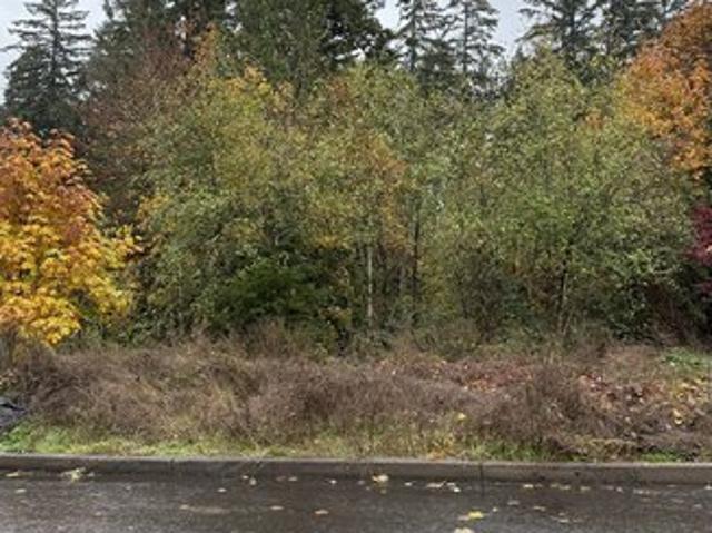 Land for sale in Sandy, Clackamas County