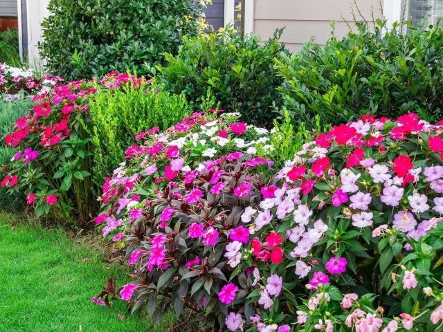 House for sale in Wendell Falls, Wendell