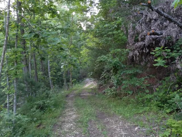 Land for sale in Powell, Kentucky