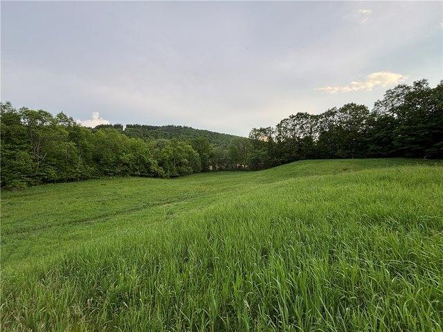 Land for sale in Maryland, New York