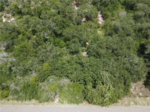 Land for sale in San Patricio, Texas