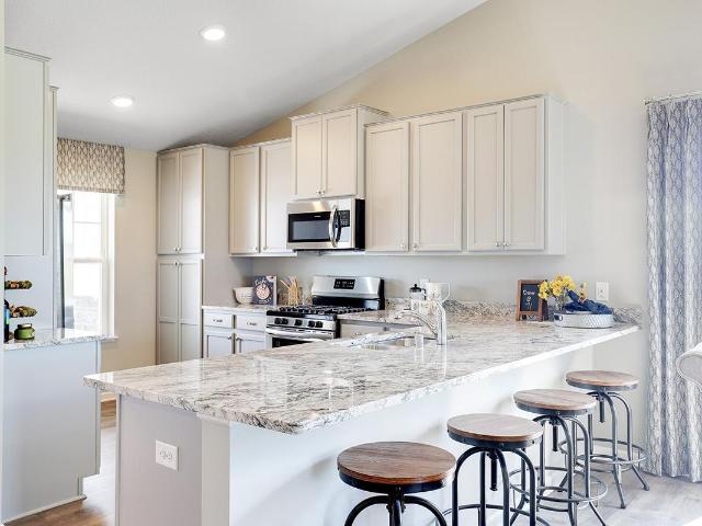 House for sale in Lakeville, Minnesota