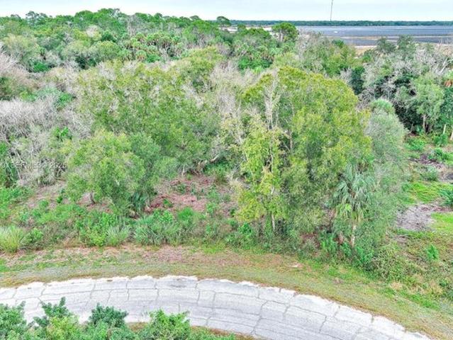 Land for sale in Labelle, Florida