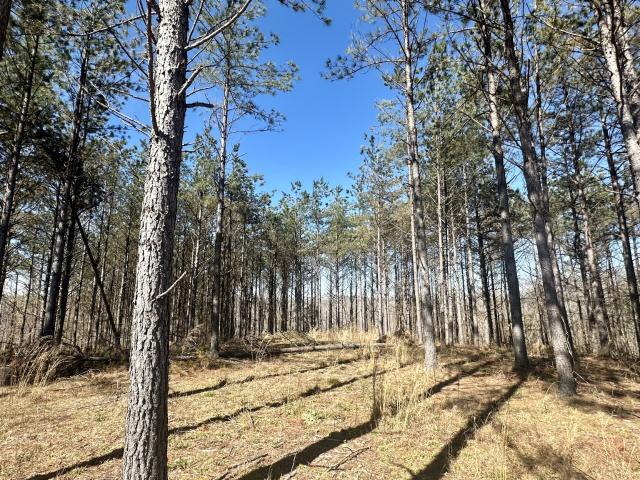 Land for sale in Tennessee