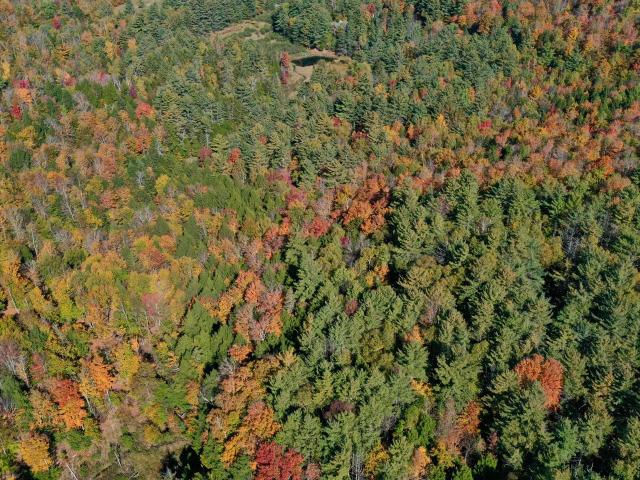 Land for sale in Bakers Mills, New York