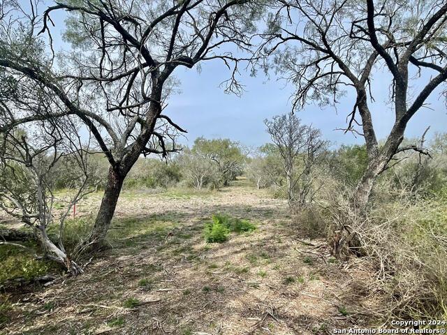 Land for sale in Moore, Texas