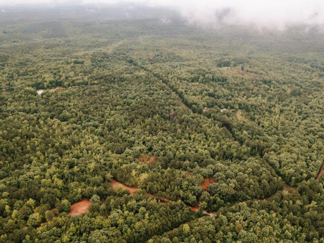 Land for sale in Eatonton, Georgia