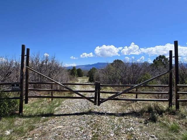 Land for sale in Ridgway, Colorado