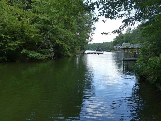 Land for sale in Wedowee, Alabama