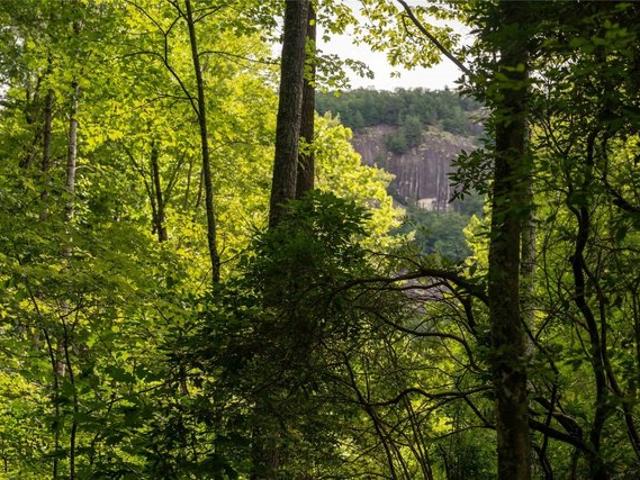 Land for sale in Transylvania, North Carolina