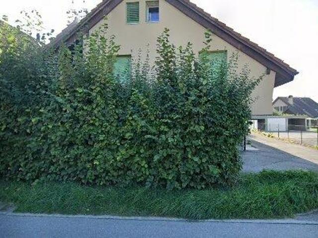 Apartment mieten in Yvonand, Waadt