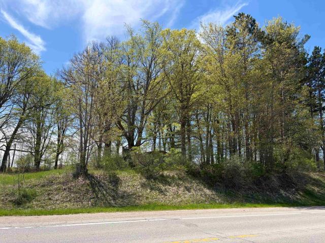 Commercial for sale in Isabella, Michigan