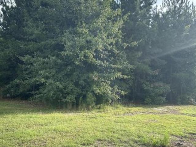 Land for sale in Sumter, South Carolina