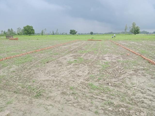 Land for sale in Lakhana, Arunachal Pradesh