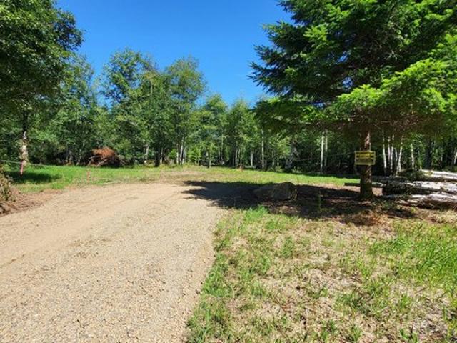 Land for sale in Naselle, Washington