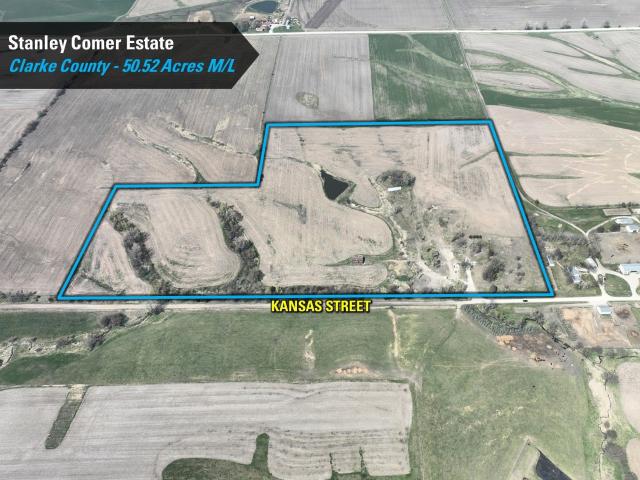 Land for sale in Osceola