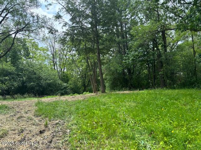 Land for sale in Duanesburg, New York