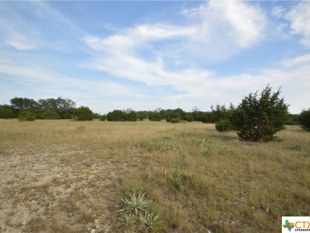 Land for sale in Lometa, Texas