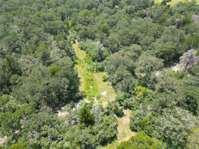 Farm for sale in Lexington, Lee County