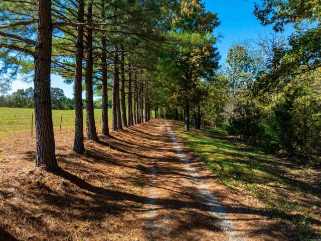 House for sale in Ark