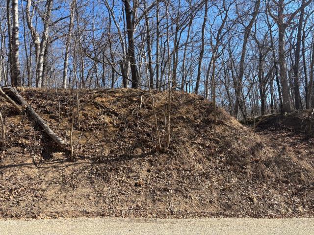 Land for sale in Marshall, Illinois