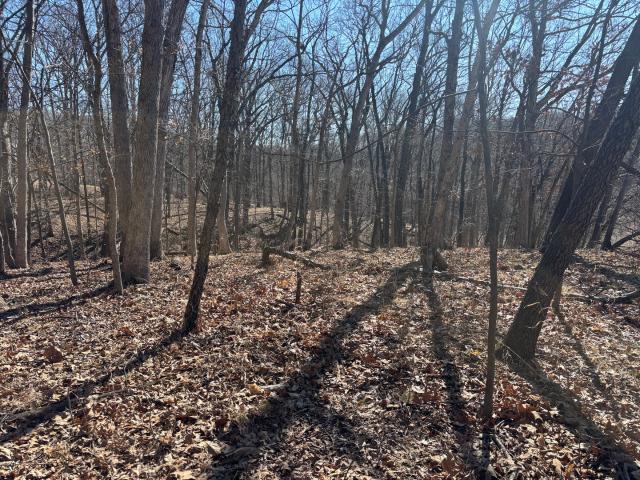 Land for sale in Marshall, Illinois