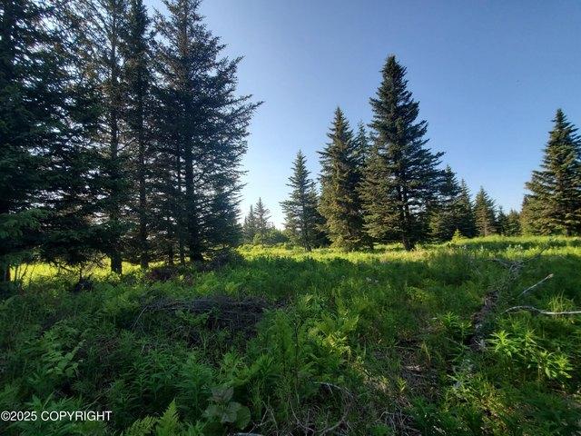 Land for sale in Ninilchik