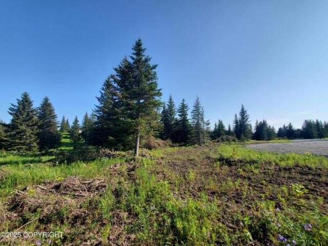 Land for sale in Ninilchik