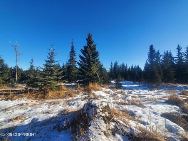 Land for sale in Ninilchik