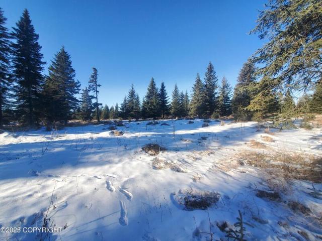 Land for sale in Ninilchik