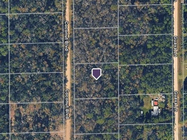 Land for sale in Bunnell, Florida