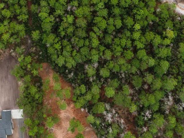 Land for sale in Springfield, Georgia
